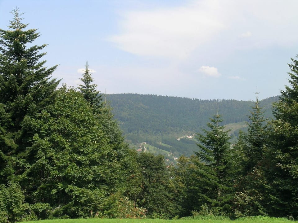View from Holiday Home [summer]