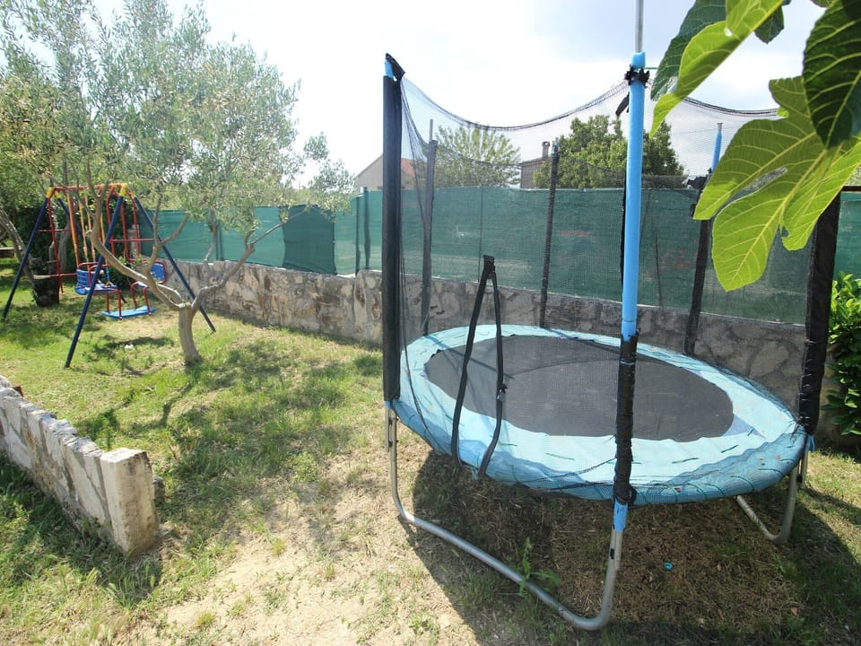 Garden [summer]
