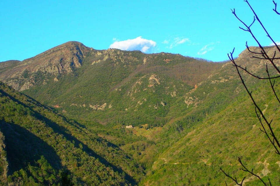 View from Holiday Home [summer]