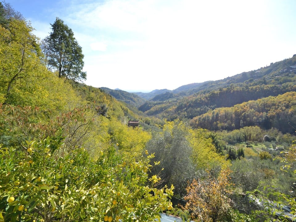 View from Holiday Home [summer]