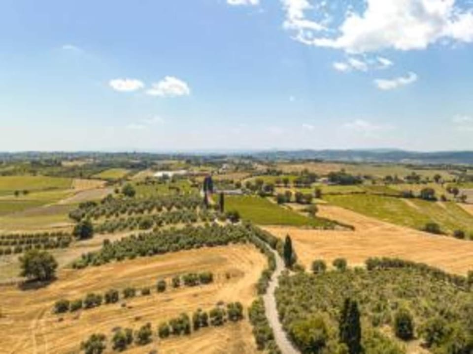 Region [summer] (>5 km)