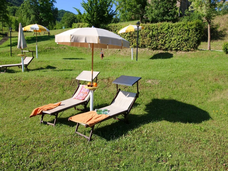 Garden [summer]