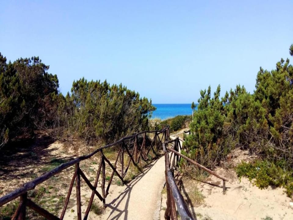 Region [summer] (>5 km)