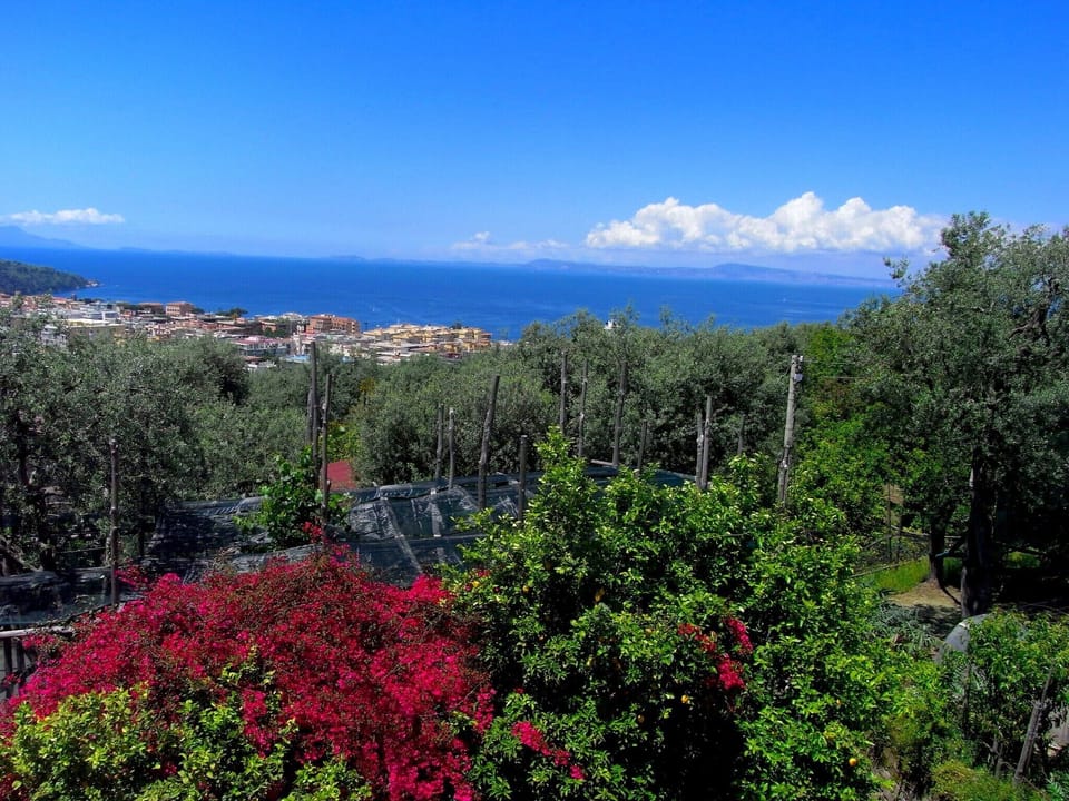 View from Holiday Home [summer]