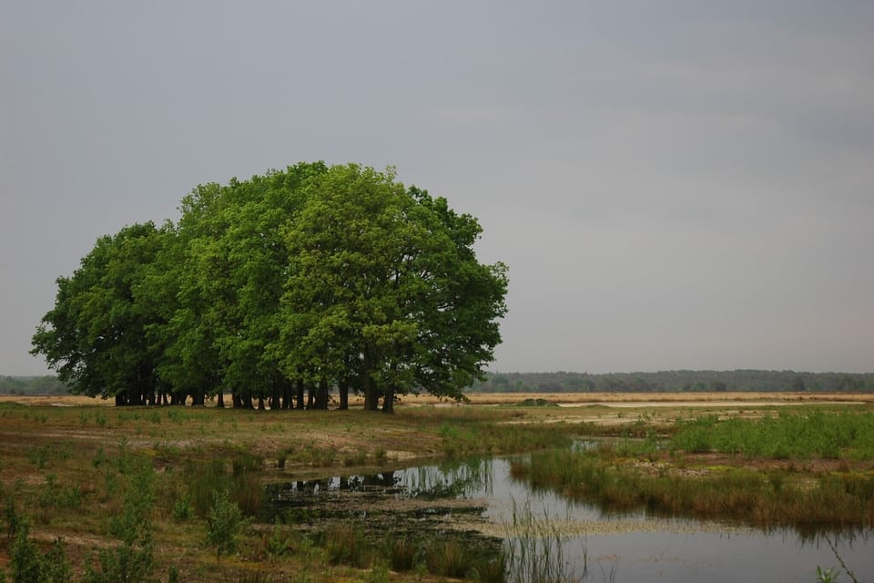 Surroundings [summer] (1-5 km)