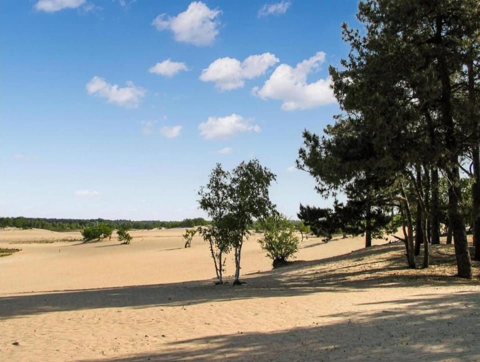 Region [summer] (>5 km)