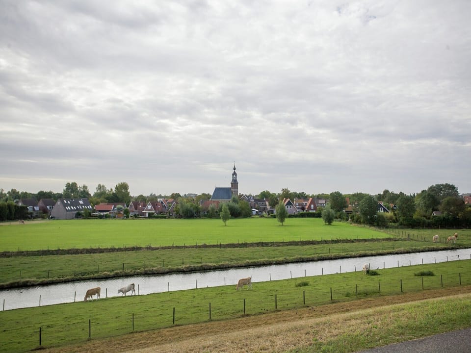 Immediate Surroundings [summer] (<1 km)
