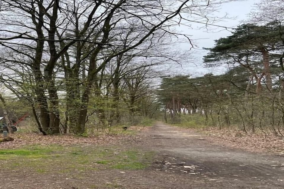 Immediate Surroundings [summer] (<1 km)