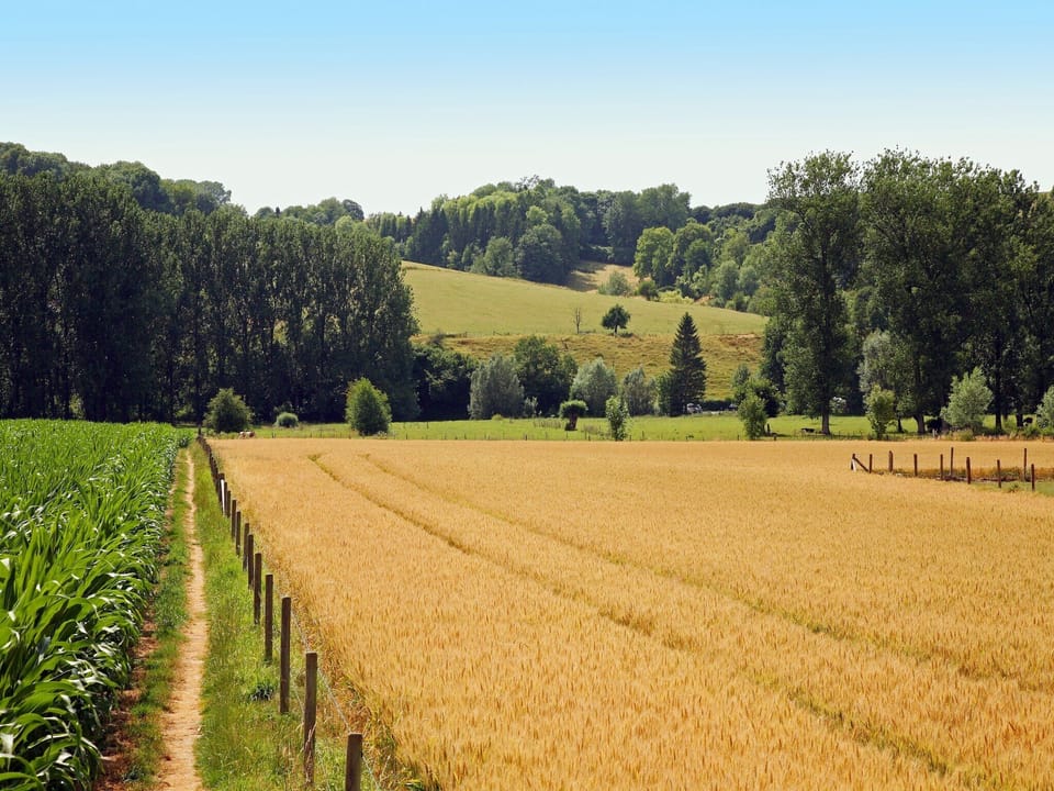 Immediate Surroundings [summer] (<1 km)