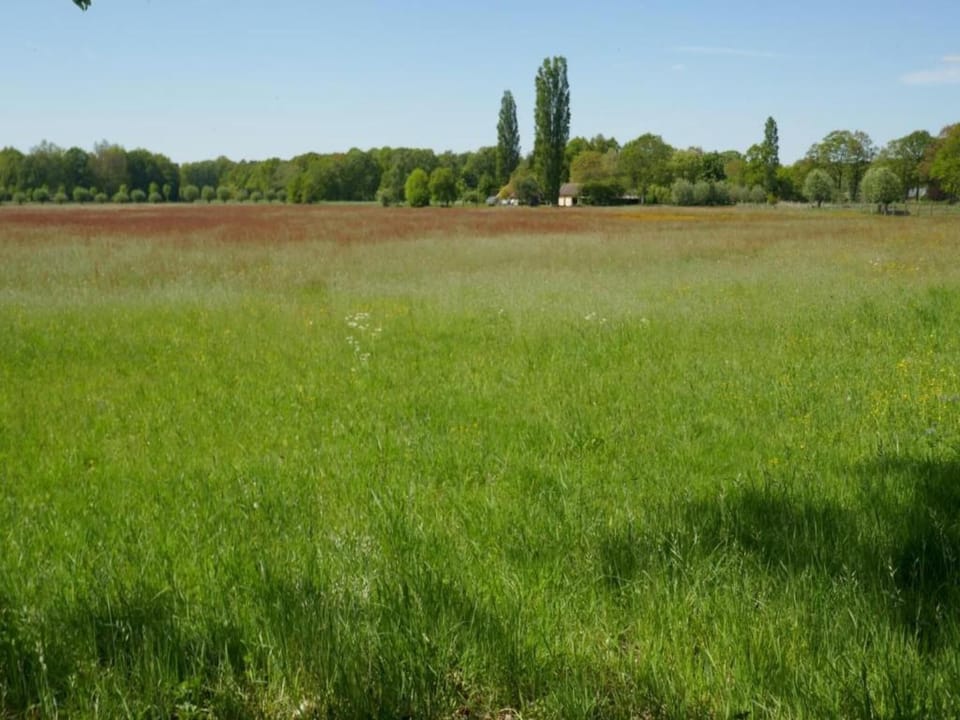Region [summer] (>5 km)
