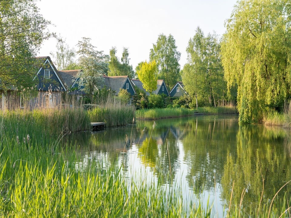Holiday Park Facilities and Services 