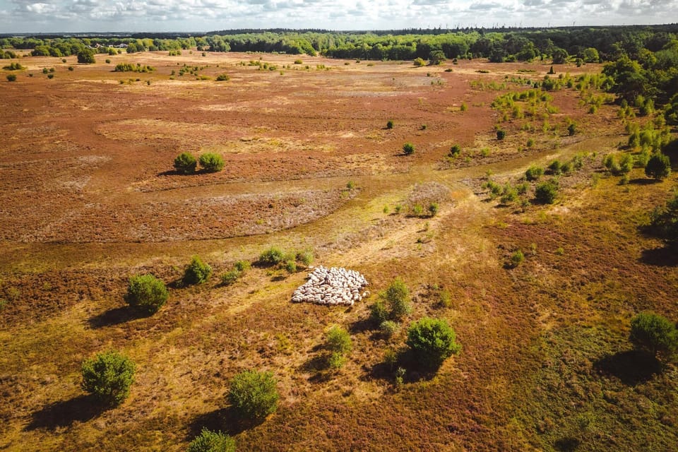 Surroundings [summer] (1-5 km)