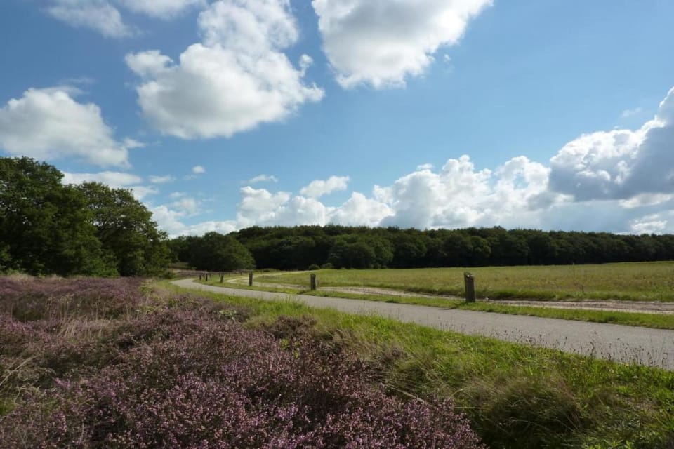 Region [summer] (>5 km)