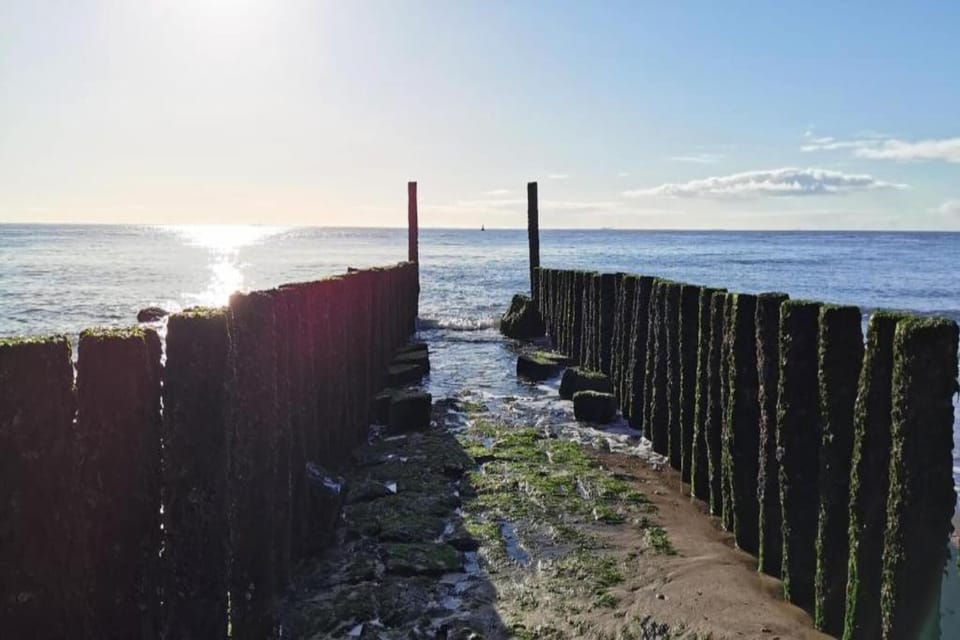 Surroundings [summer] (1-5 km)