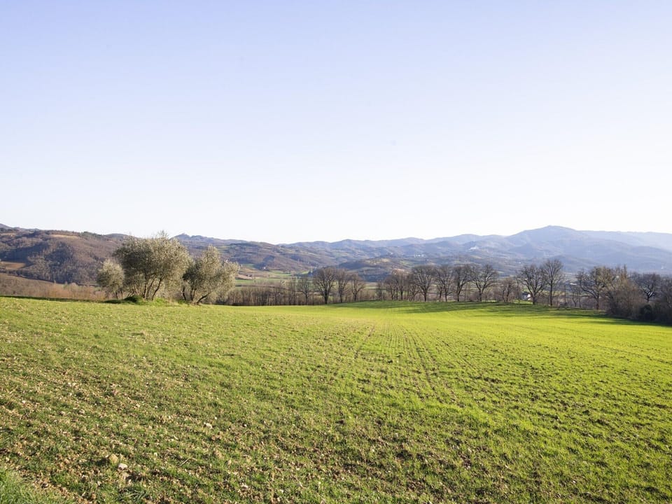 Immediate Surroundings [summer] (<1 km)