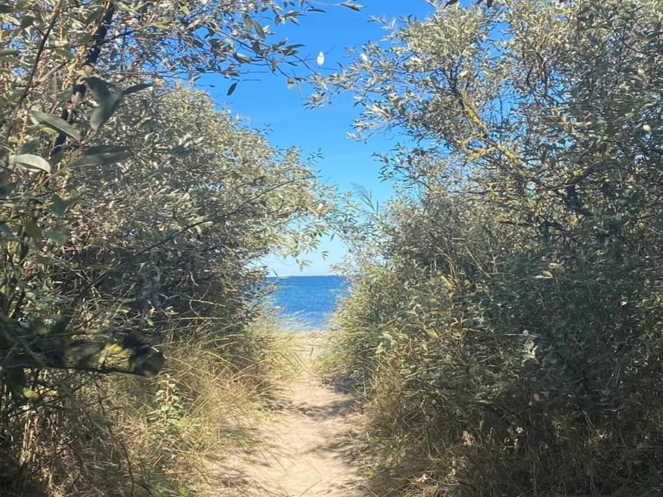 Surroundings [summer] (1-5 km)