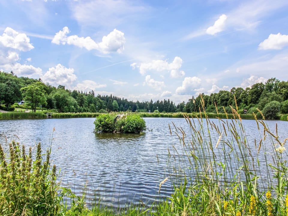 Surroundings [summer] (1-5 km)