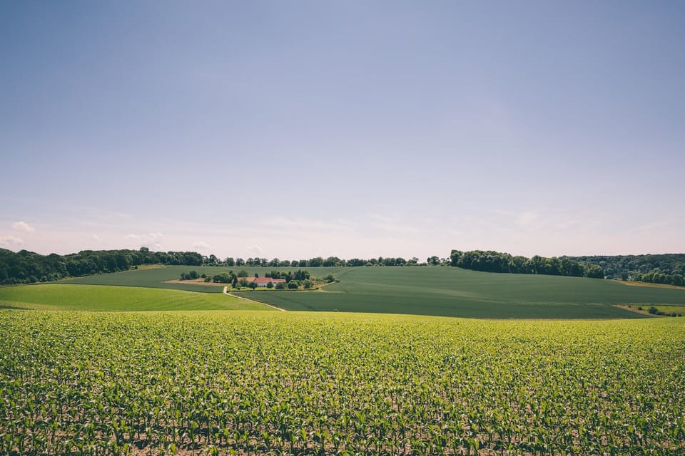 Region [summer] (>5 km)