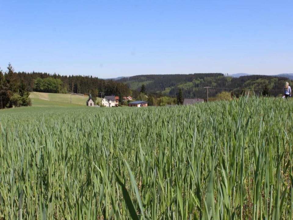 Region [summer] (>5 km)