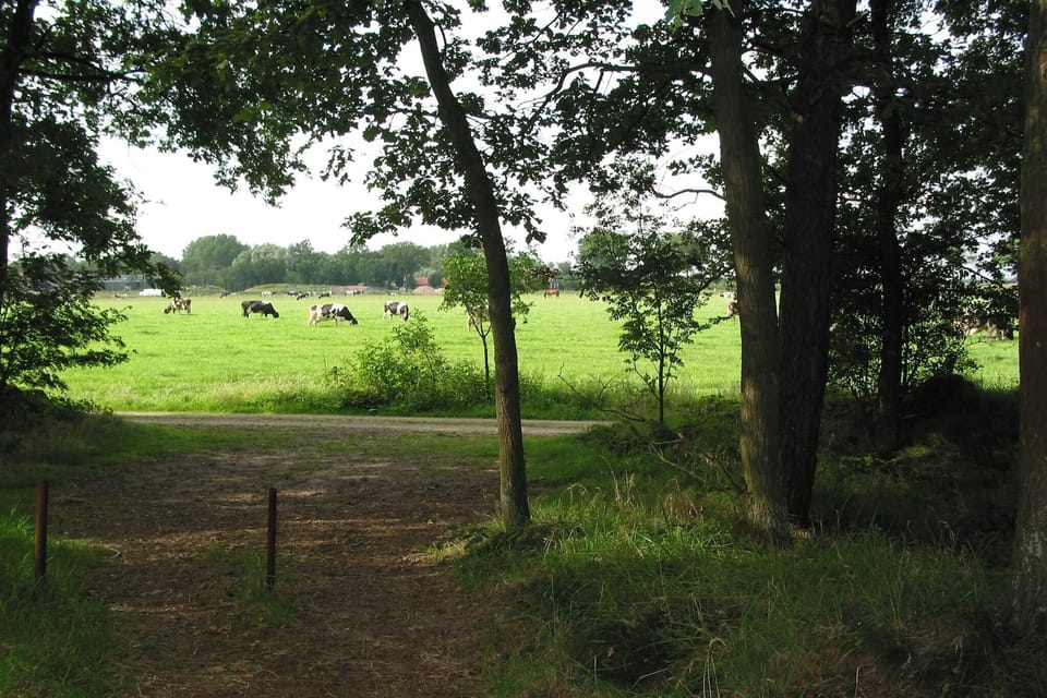 Immediate Surroundings [summer] (<1 km)