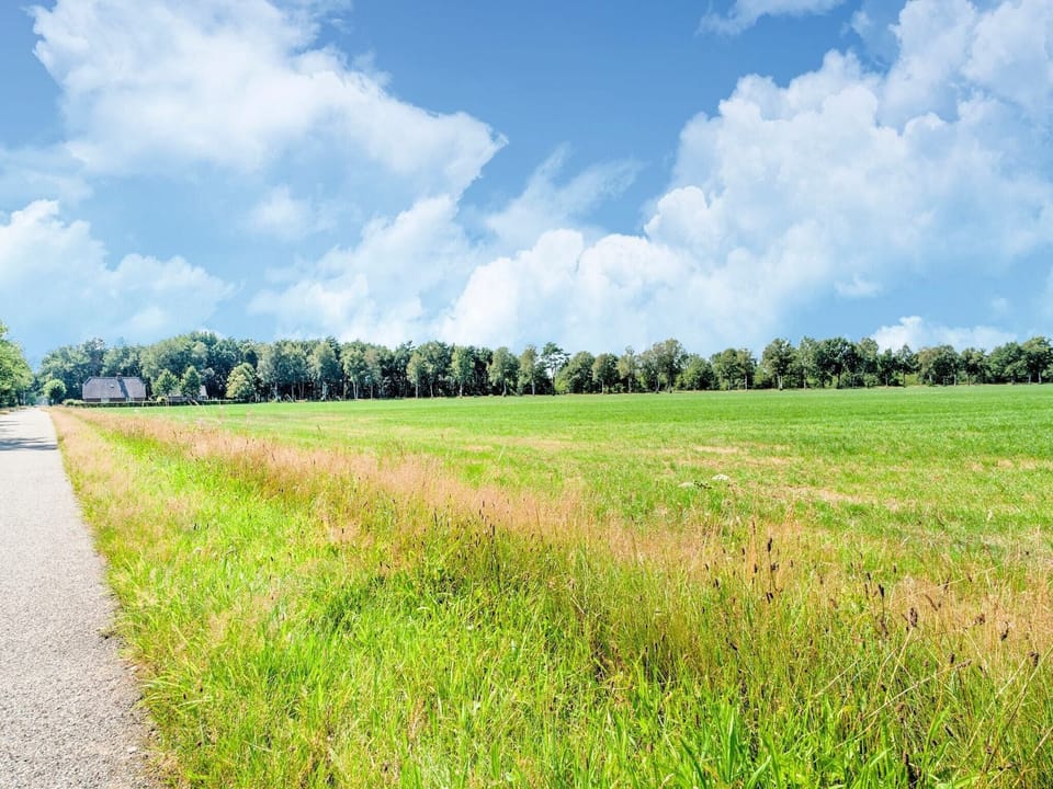 Immediate Surroundings [summer] (<1 km)