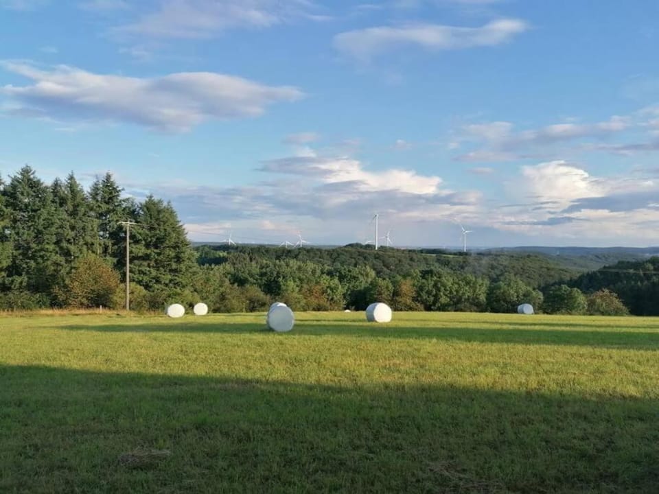 Region [summer] (>5 km)