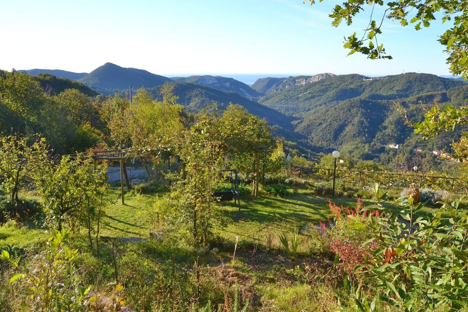 Surroundings [summer] (1-5 km)
