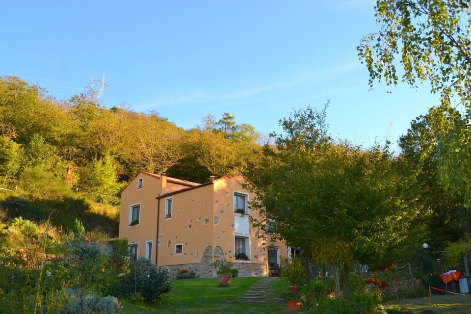Holiday Home Exterior [summer]