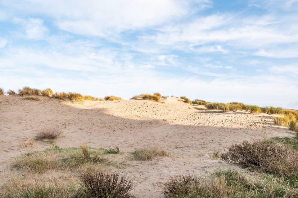 Immediate Surroundings [summer] (<1 km)