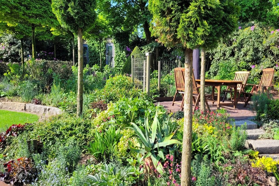 Garden [summer]