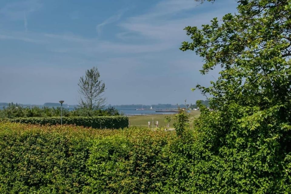 Region [summer] (>5 km)