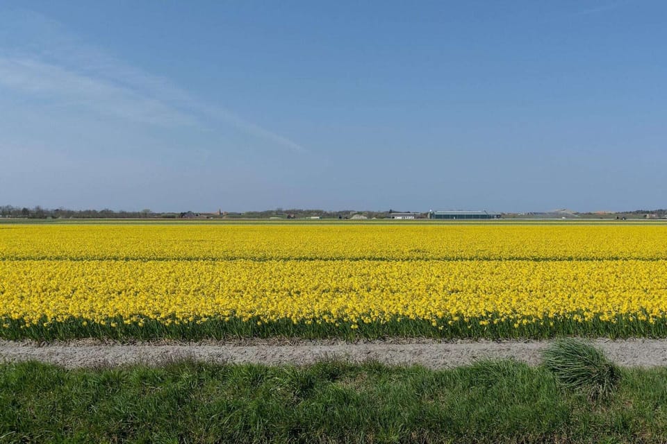 Surroundings [summer] (1-5 km)