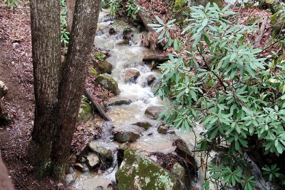 Enjoy the Creekside Views