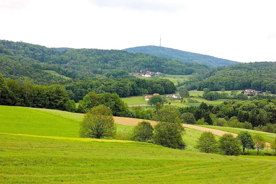 Region [summer] (>5 km)