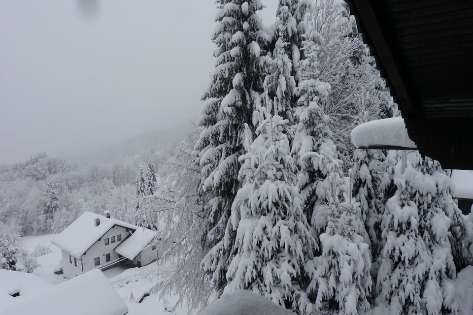 Garden [winter]