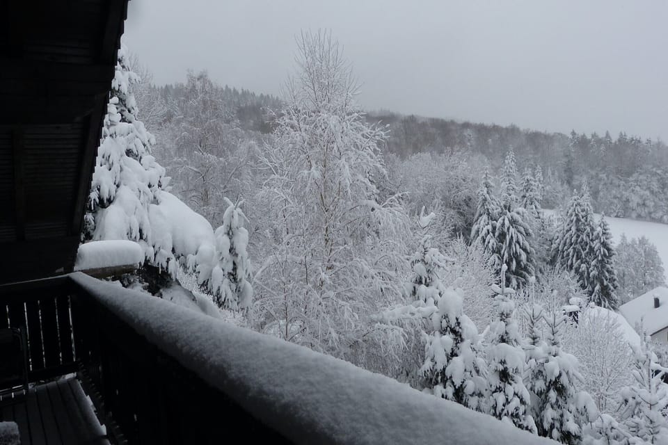 View from Holiday Home [winter]