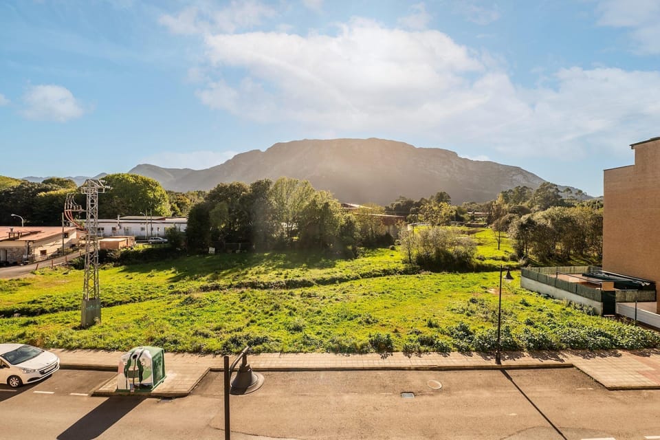 Immediate Surroundings [summer] (<1 km)