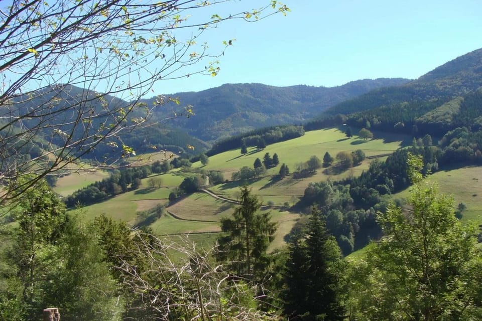 Region [summer] (>5 km)