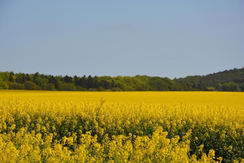Region [summer] (>5 km)