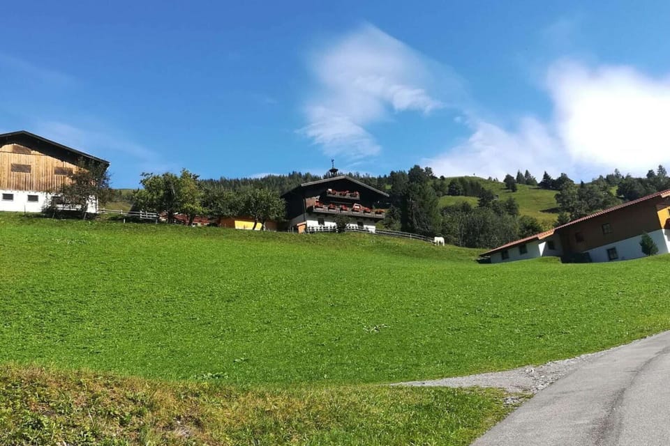 Immediate Surroundings [summer] (<1 km)