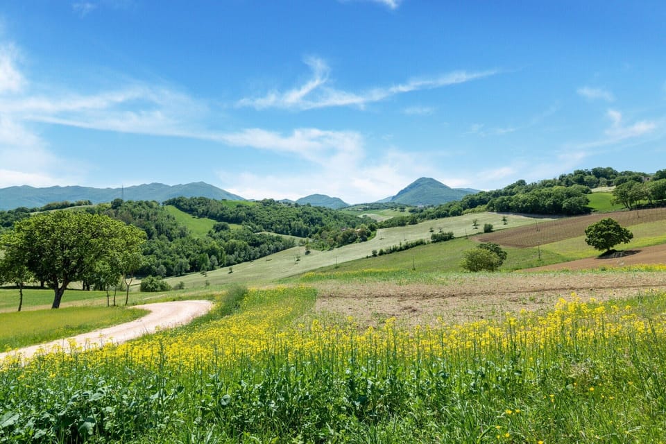 Surroundings [summer] (1-5 km)