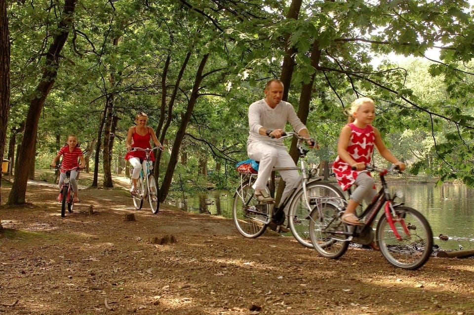 Immediate Surroundings [summer] (<1 km)