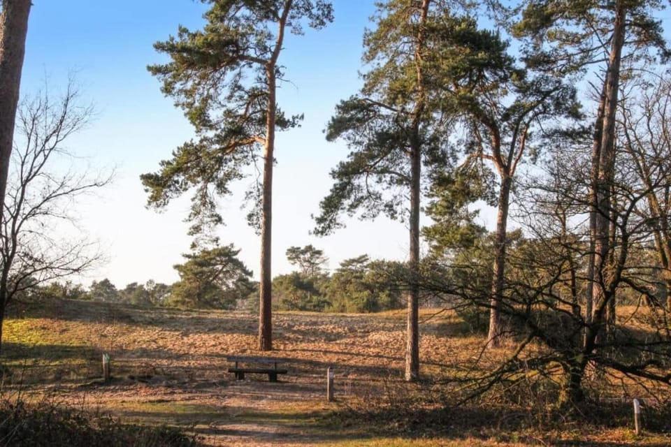 Region [summer] (>5 km)