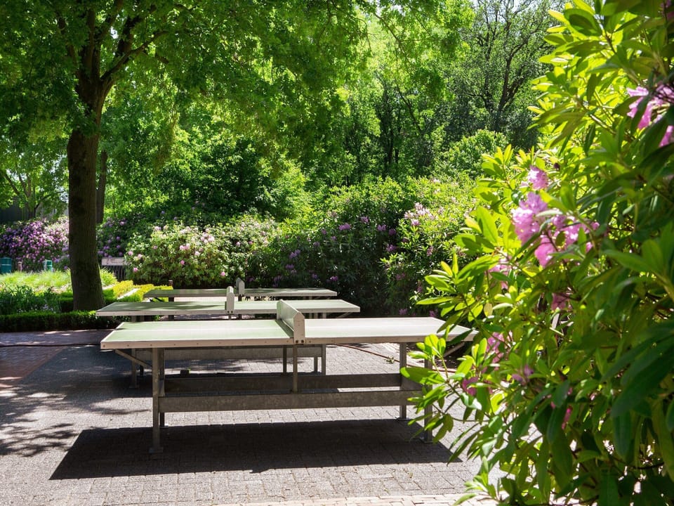 Holiday Park Facilities and Services 
