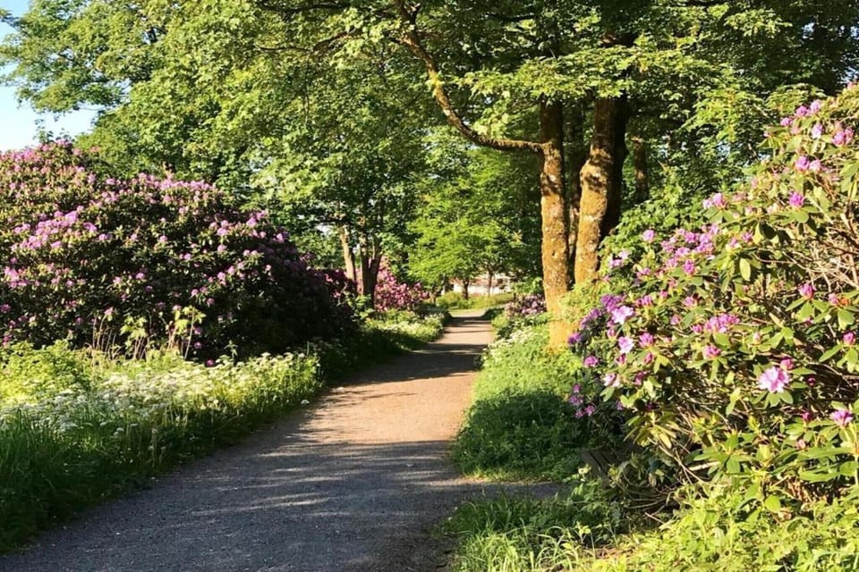 Region [summer] (>5 km)