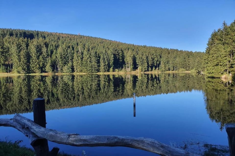 Region [summer] (>5 km)