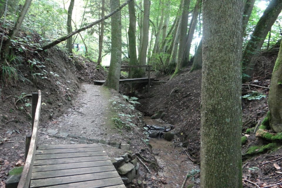 Immediate Surroundings [summer] (<1 km)