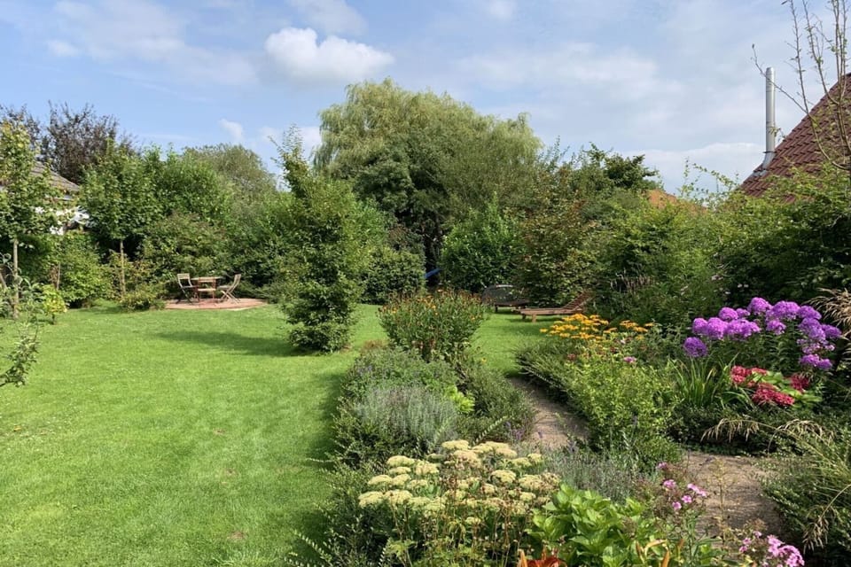Garden [summer]