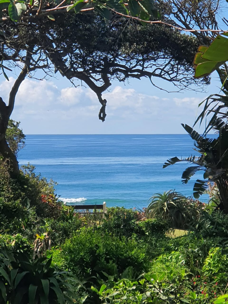 View from the pool area 