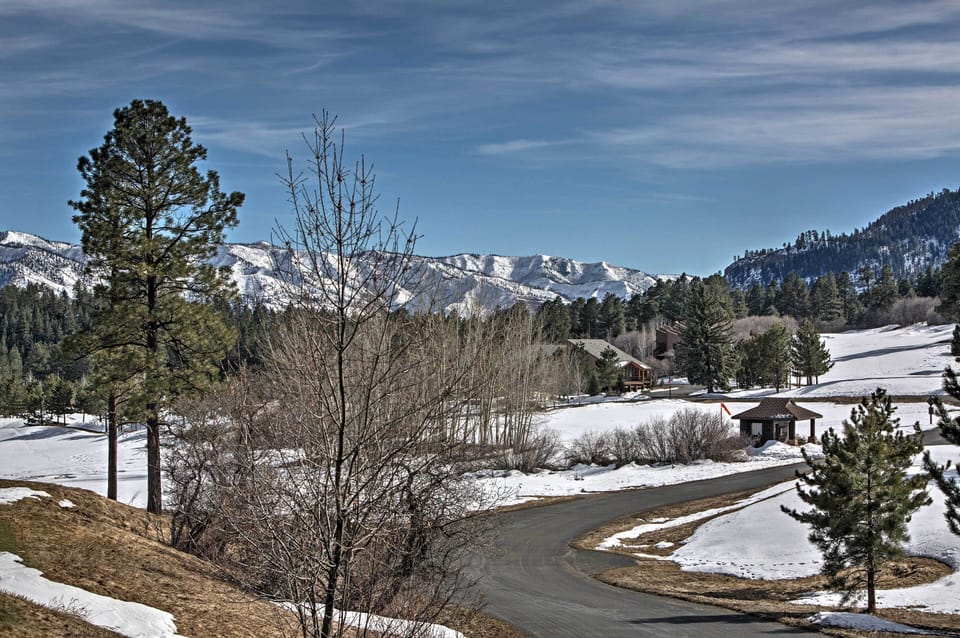 Surrounded by San Juan National Forest | Mountain Views